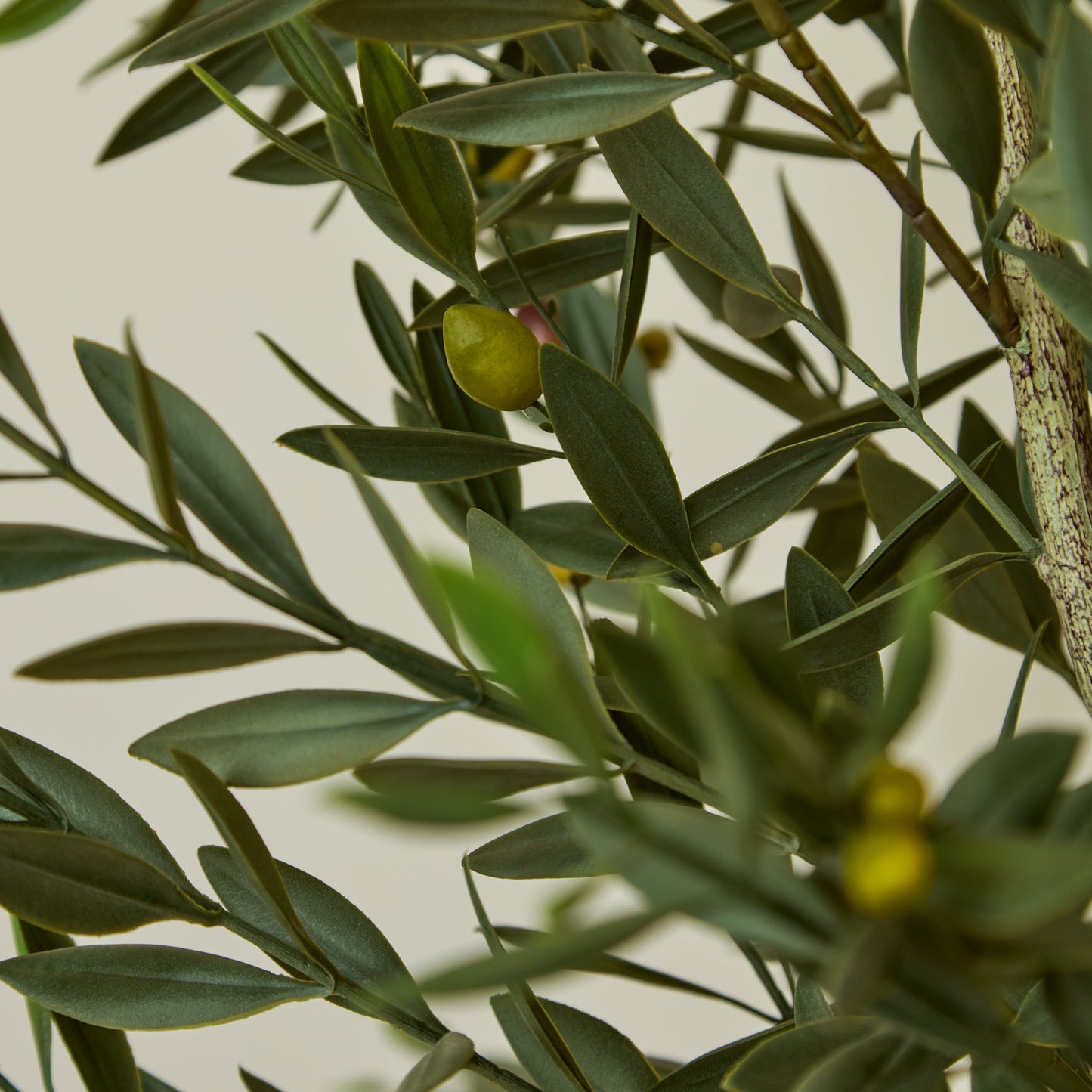 Kew Olive Tree in Cement Pot - 157cm - Laura James
