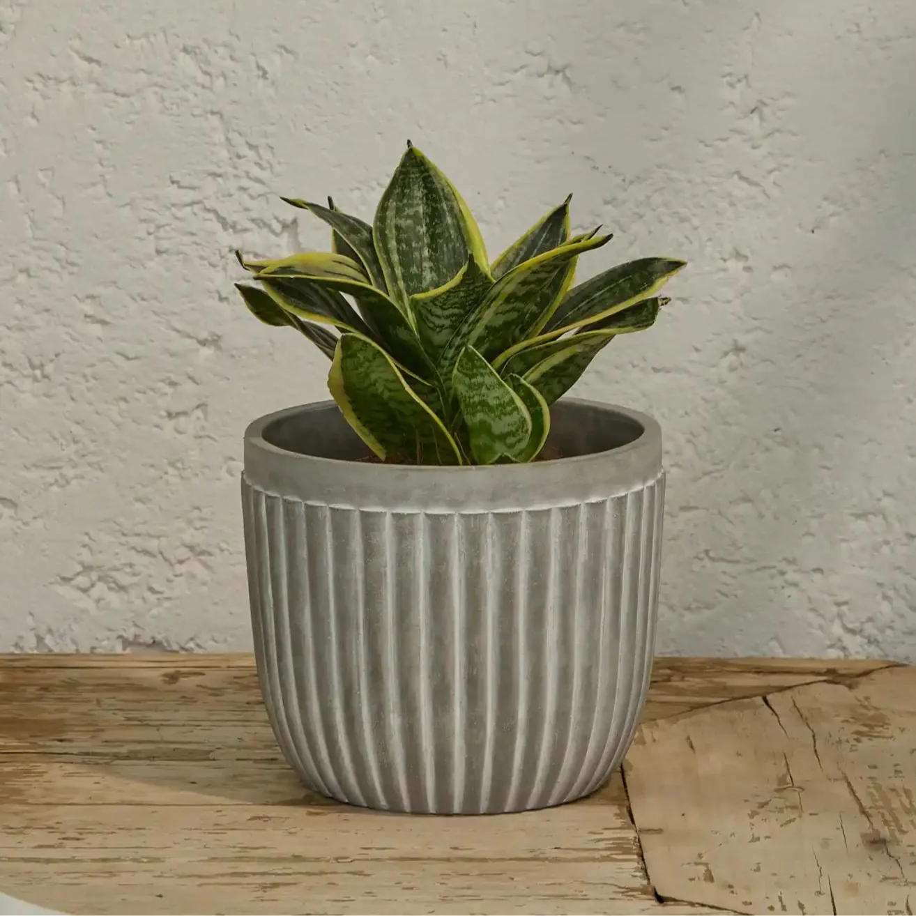 Claremount Grey Cement Plant Pot - 18cm - Laura James