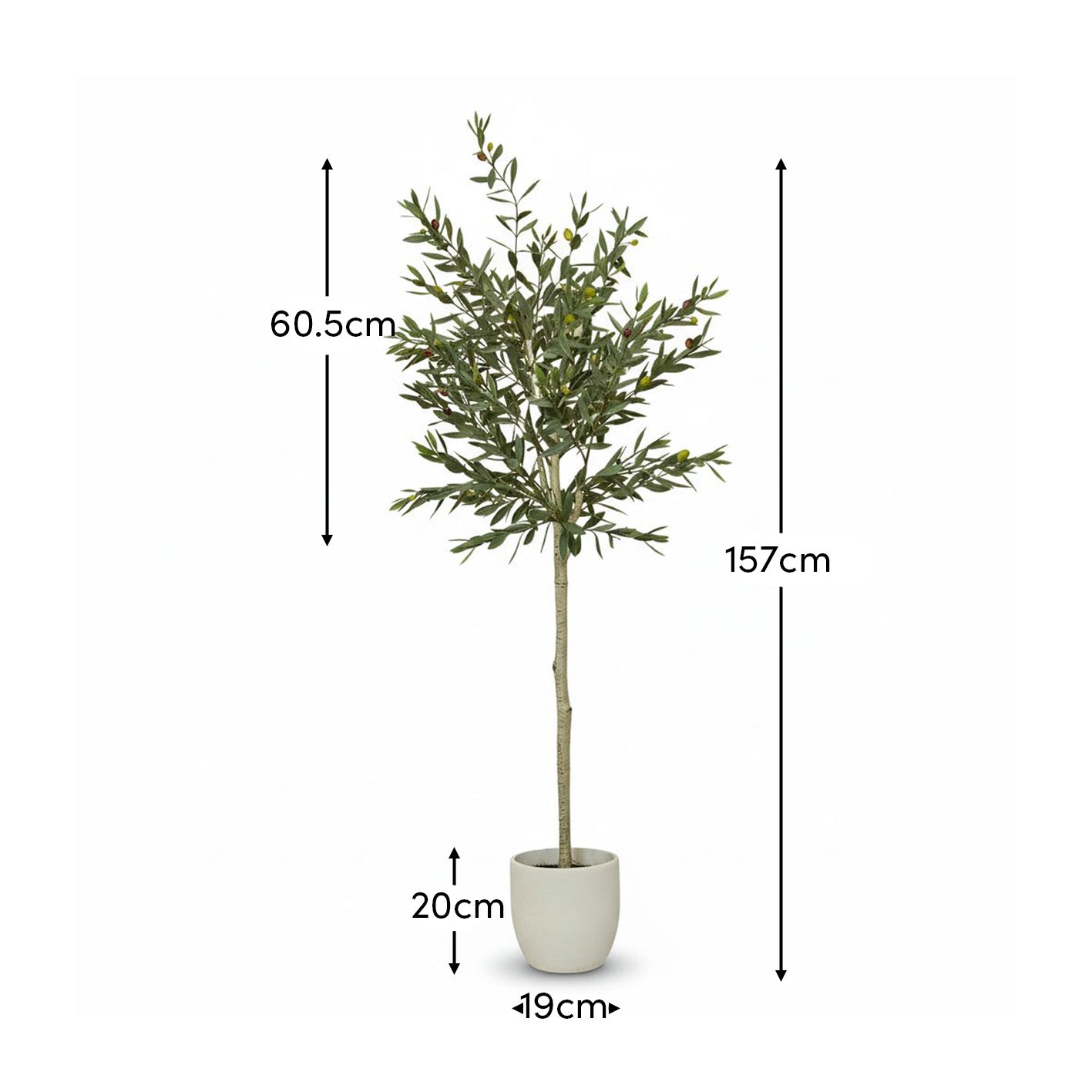 Kew Olive Tree in Cement Pot - 157cm - Laura James 