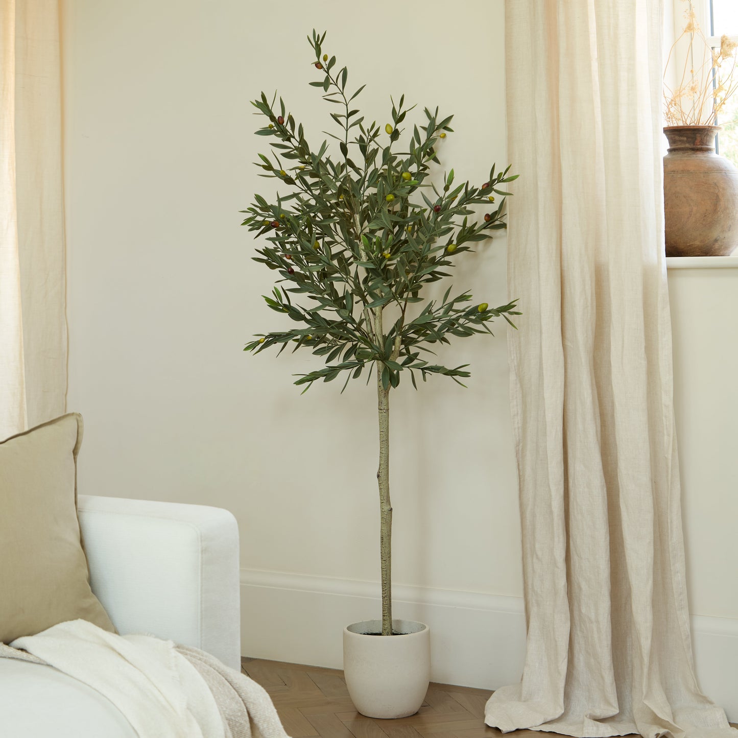 Kew Olive Tree in Cement Pot - 157cm - Laura James 