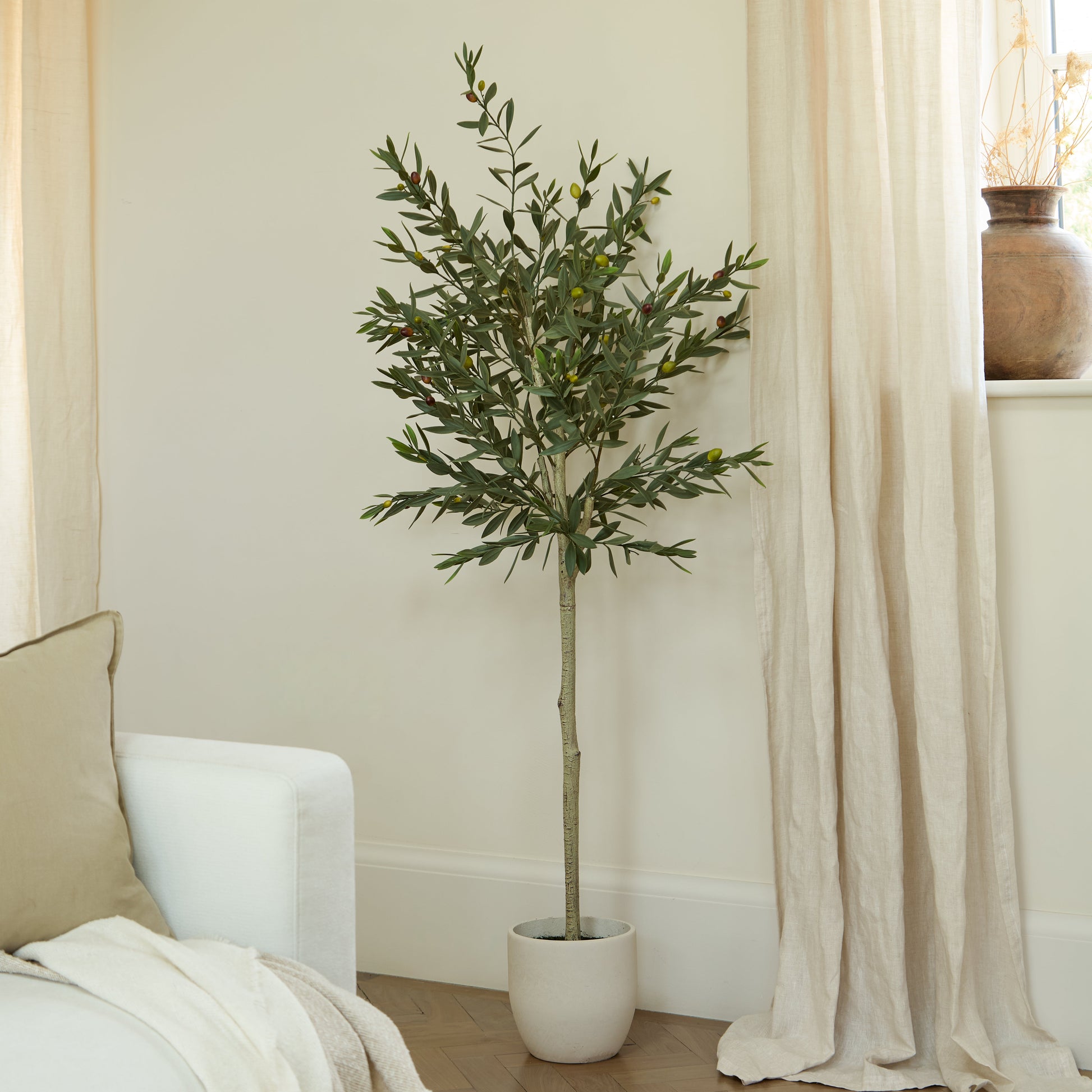 Kew Olive Tree in Cement Pot - 157cm - Laura James 