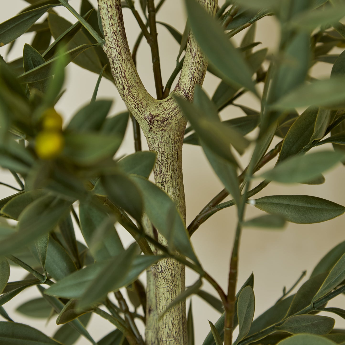 Kew Olive Tree in Cement Pot - 157cm - Laura James 