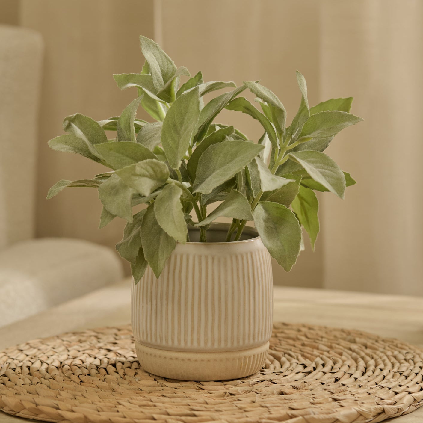Kew 21cm Salvia Officinalis In Ceramic Pot - Laura James 