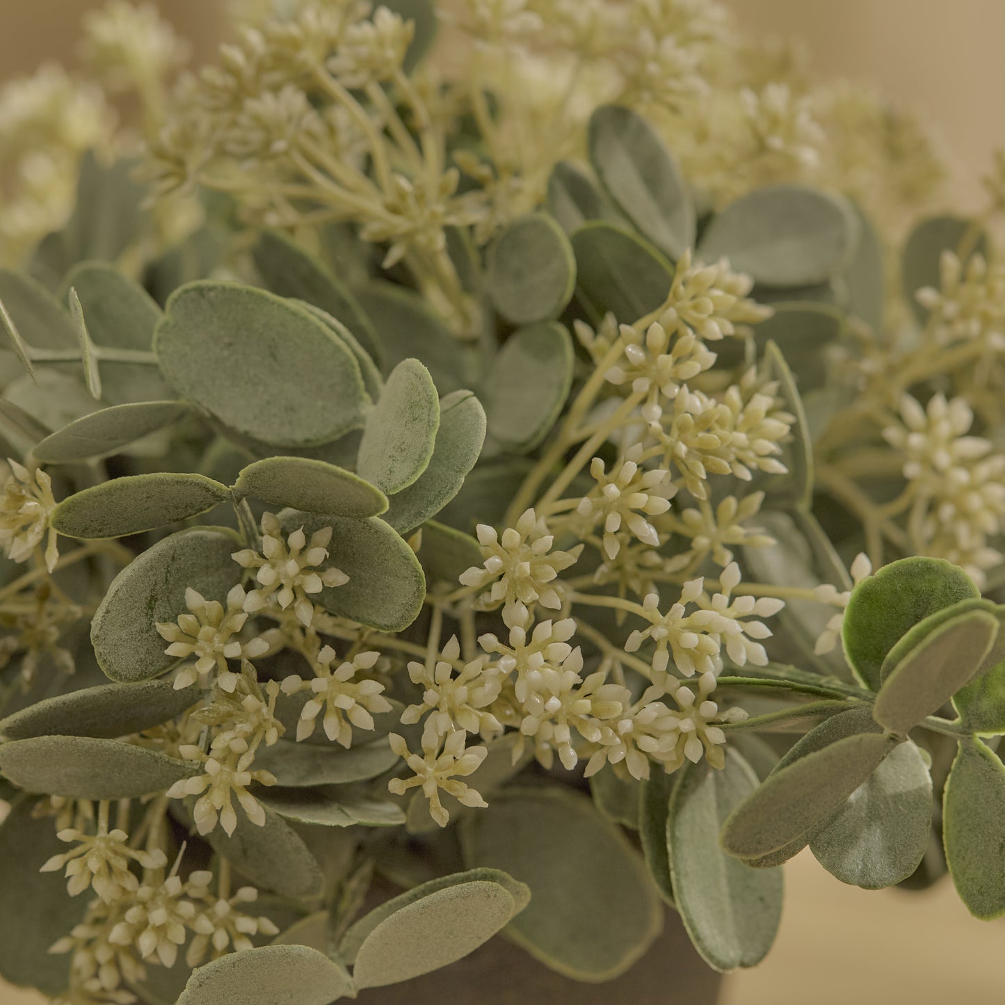 Kew 24cm Arachis Flower In Paper Mache Pot