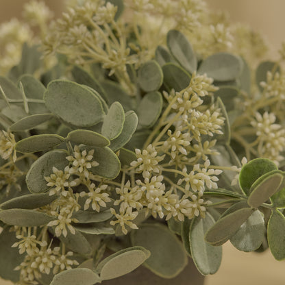 Kew 24cm Arachis Flower In Paper Mache Pot