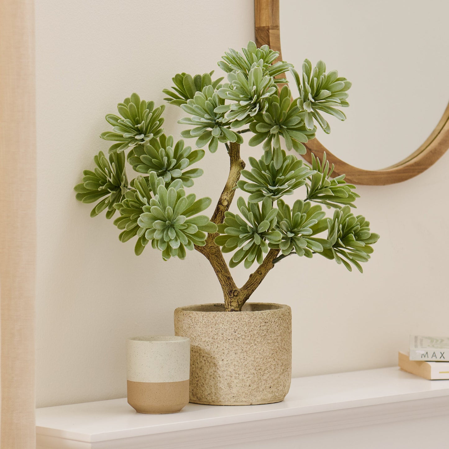 Kew Succulent in Cement Pot - 40cm - Laura James