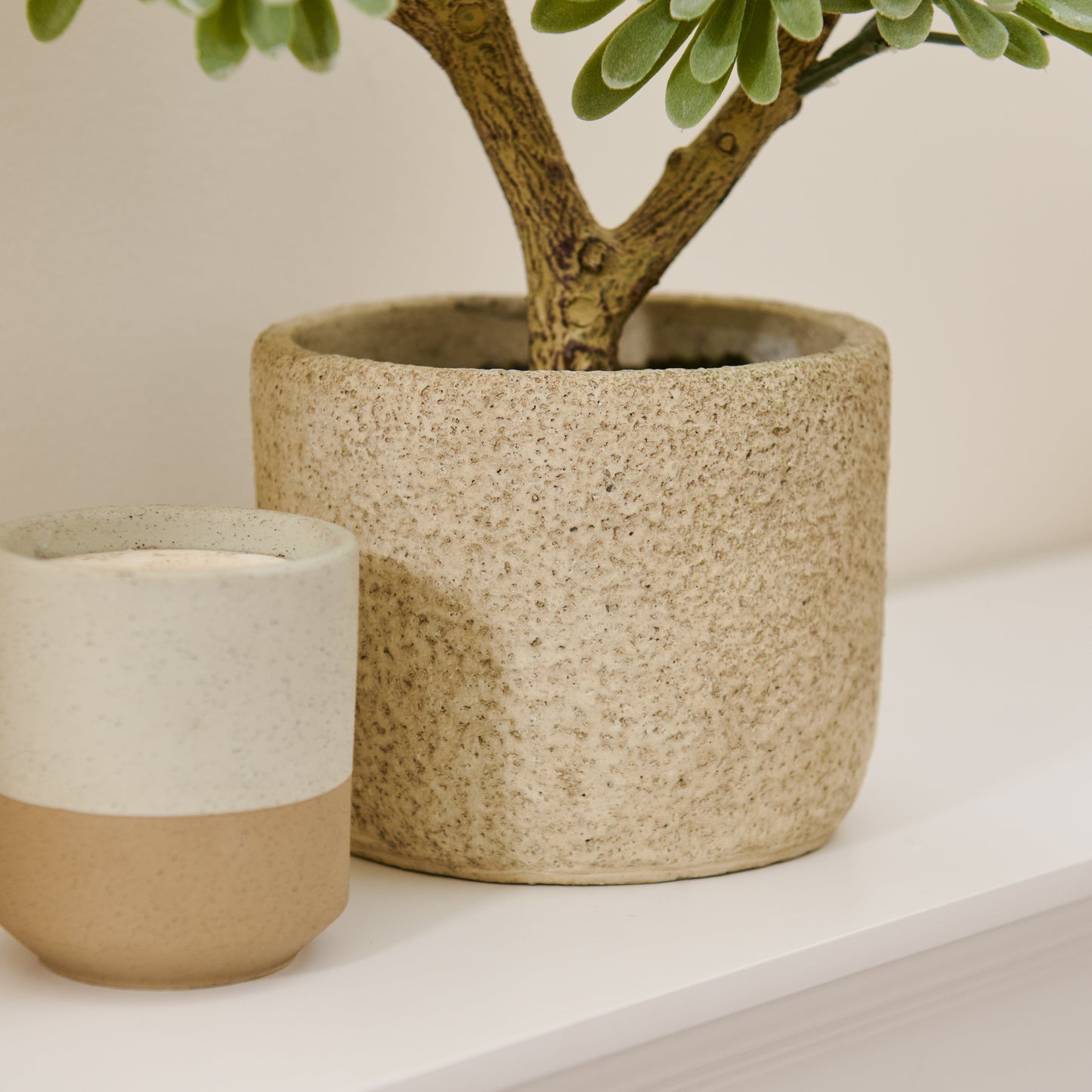 Kew Succulent in Cement Pot - 40cm - Laura James