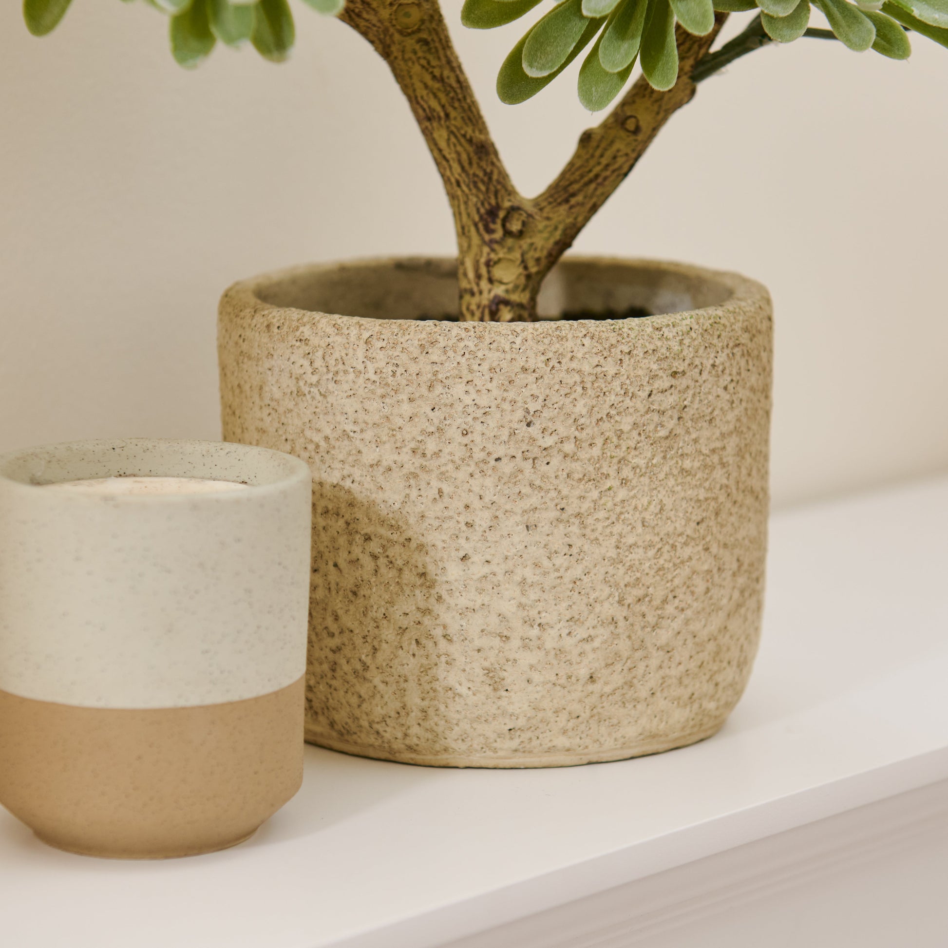 Kew Succulent in Cement Pot - 40cm - Laura James