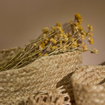 Satara 22x30cm Oval Jute Basket - Whitewash - Laura James 