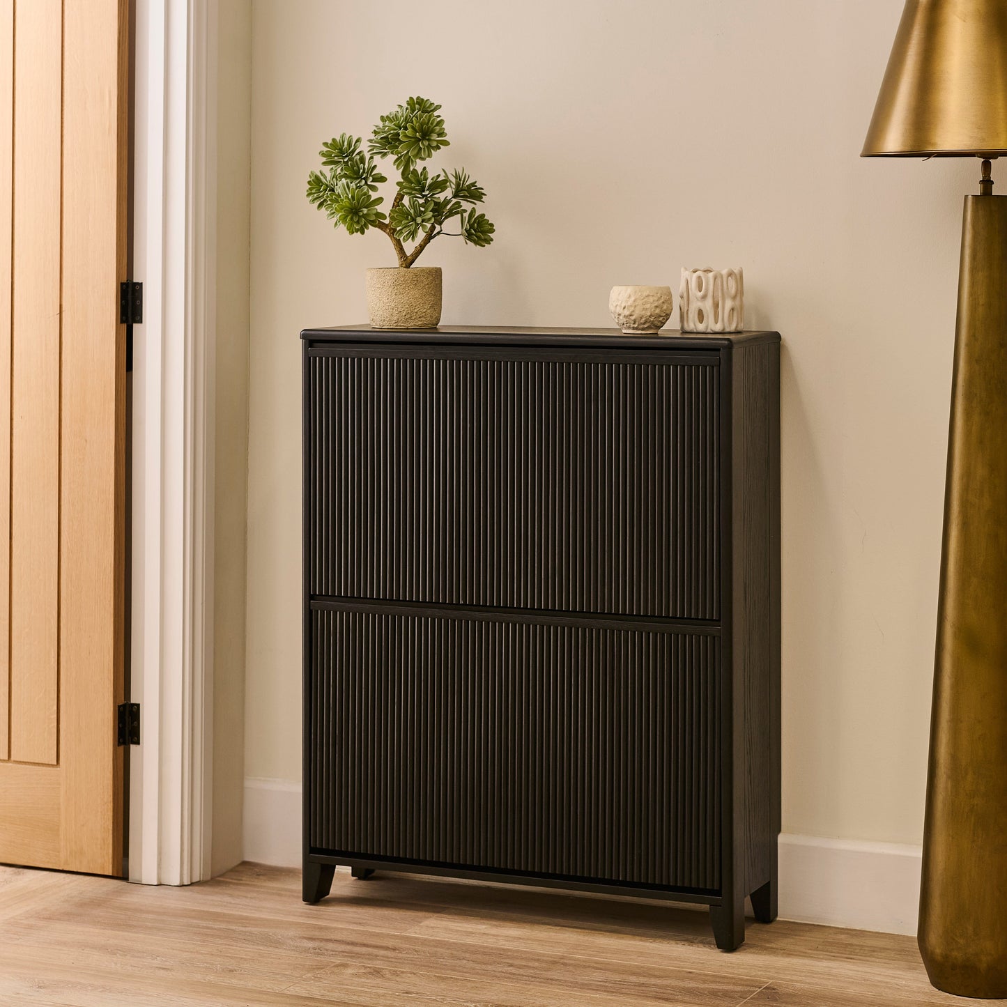 Raleigh 2 Door Shoe Cabinet - Black - Laura James 