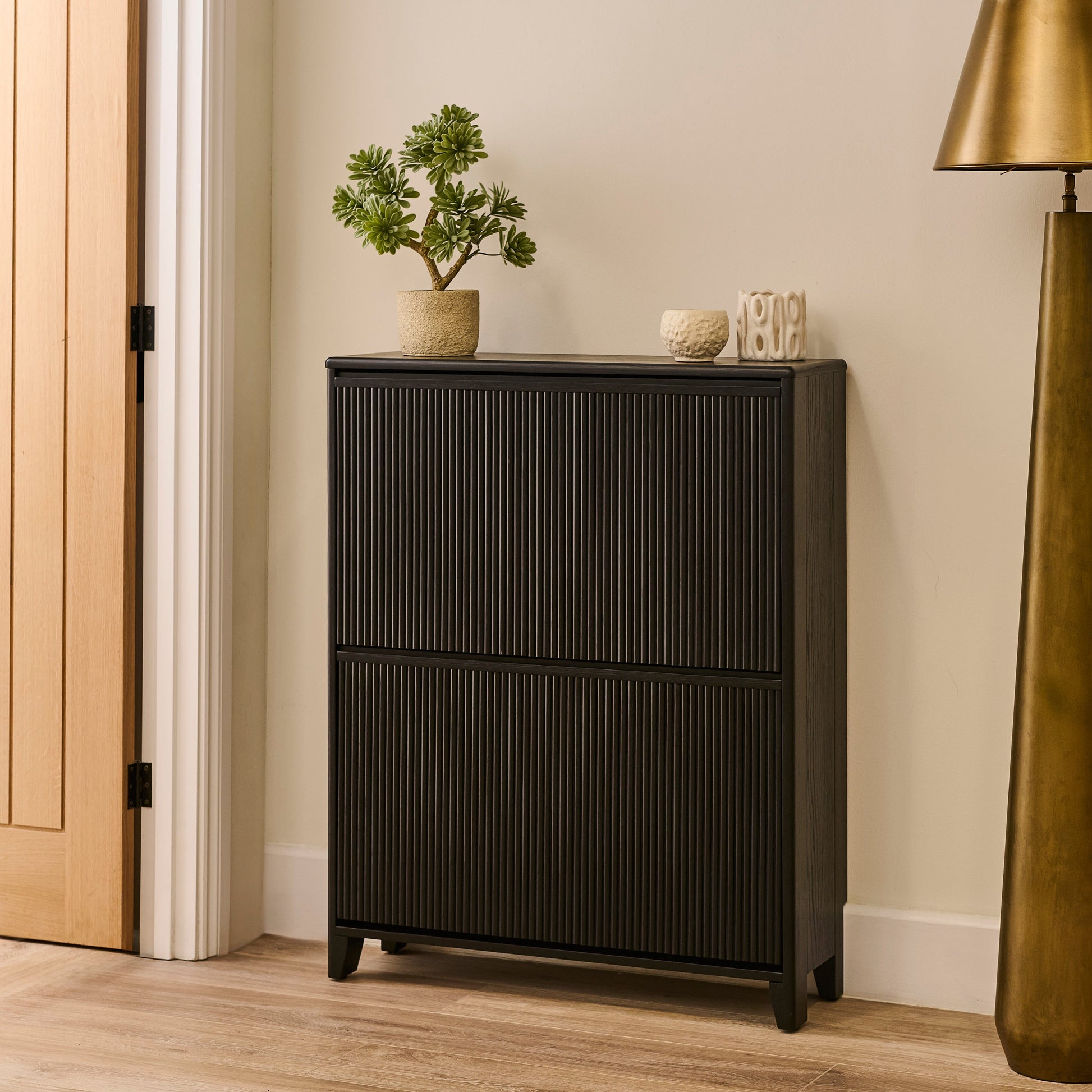 Raleigh 2 Door Shoe Cabinet - Black - Laura James 