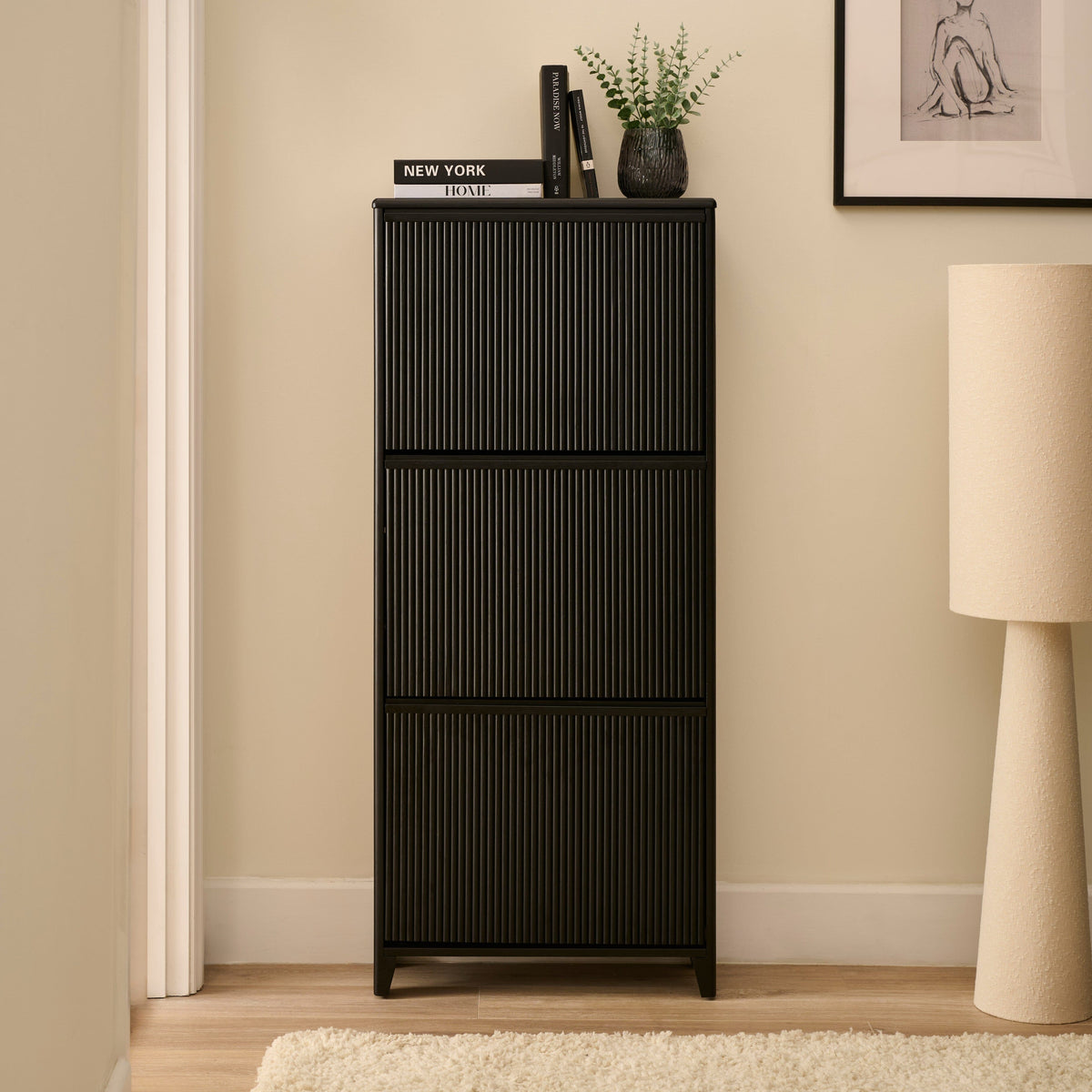 Raleigh 3 Door Shoe Cabinet - Black - Laura James 