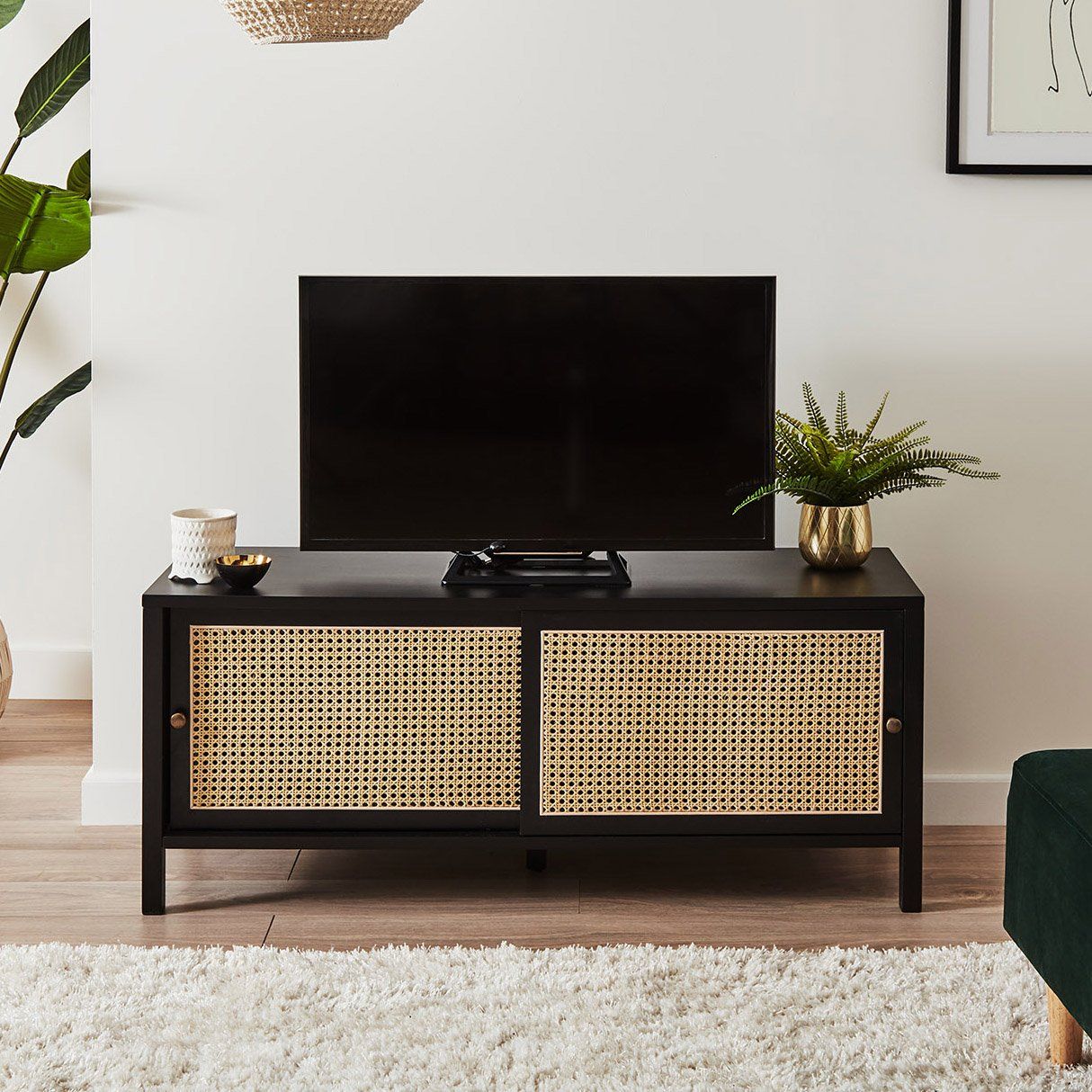 Charlie Cane & Black TV Unit – Laura James Ireland
