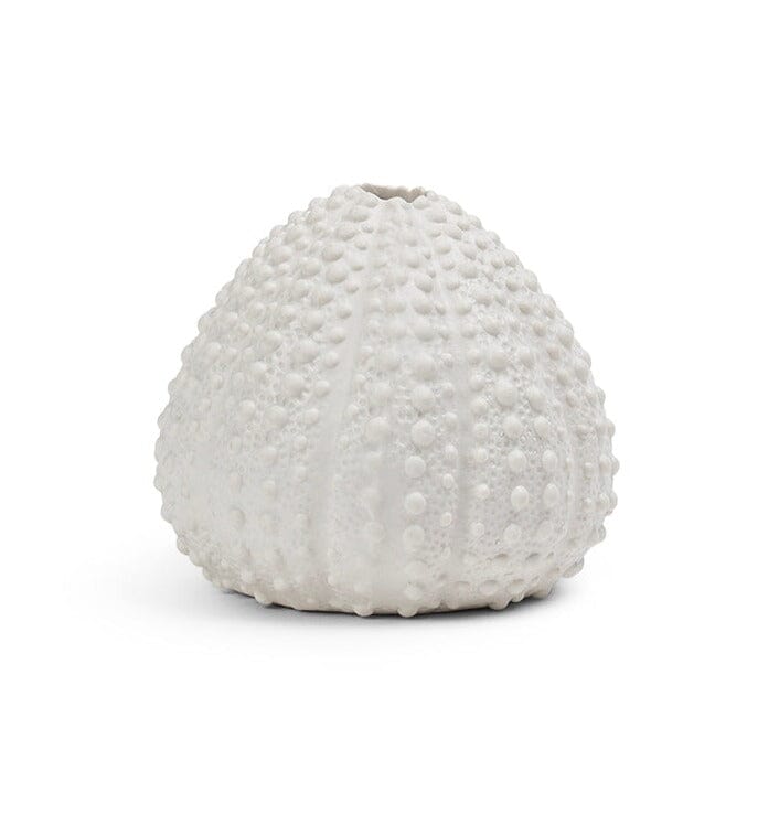 White sea urchin ornament